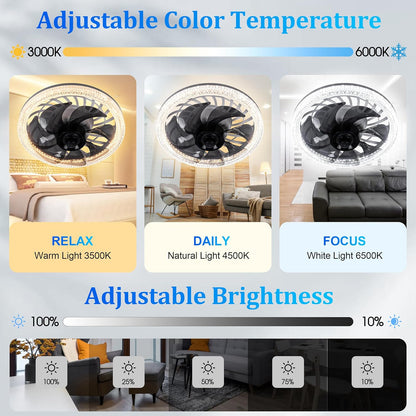 Lumifan Pro 2 Ceiling Light Fan