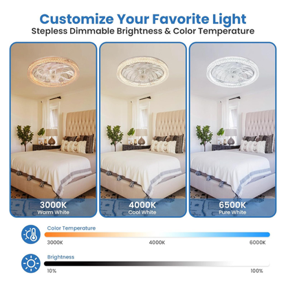 Lumifan Pro Ceiling Light Fan